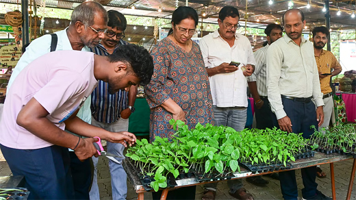 Siri Sasyotsava